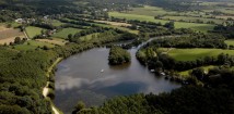 Etang de la forêt