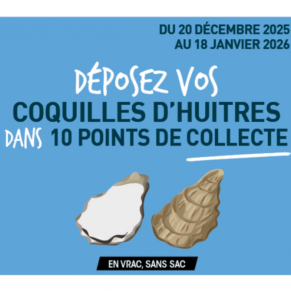 Coquille d'huîtres