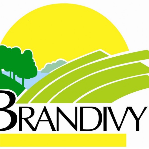 Réunion conseil municipal