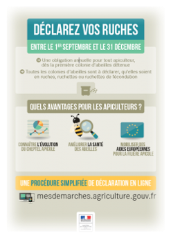 Déclaration de ruche